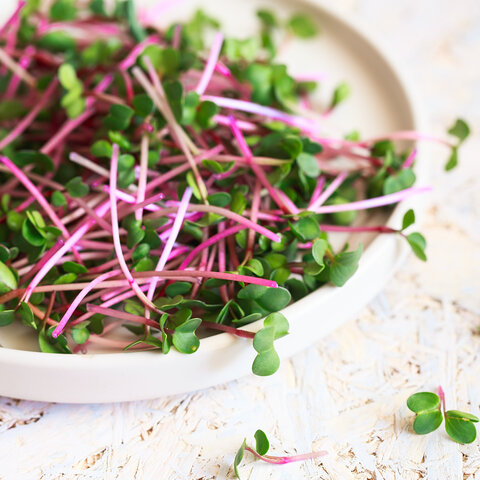 Strawberry Microgreen Salad