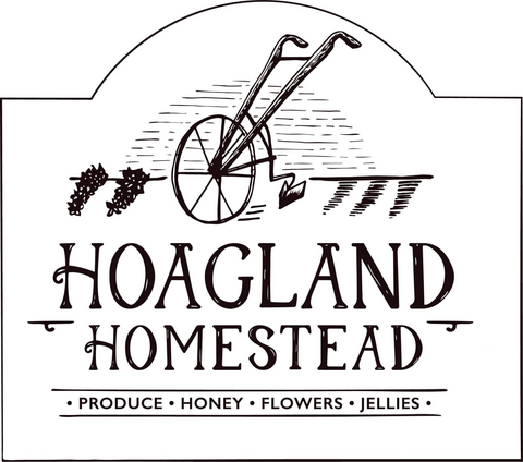 The Hoagland Homestead